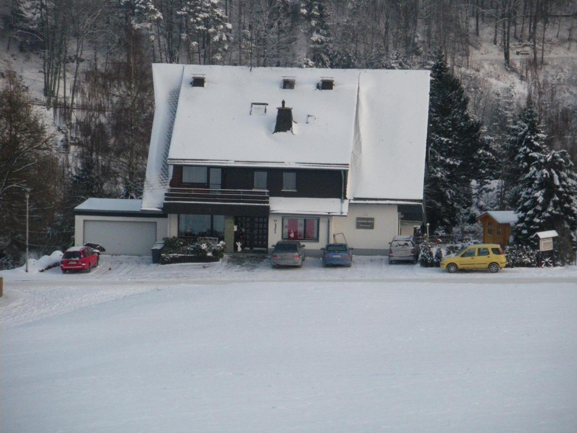 Ferienwohnungen Landhaus Meran Inkl Meinecardplus Willingen  Exterior photo